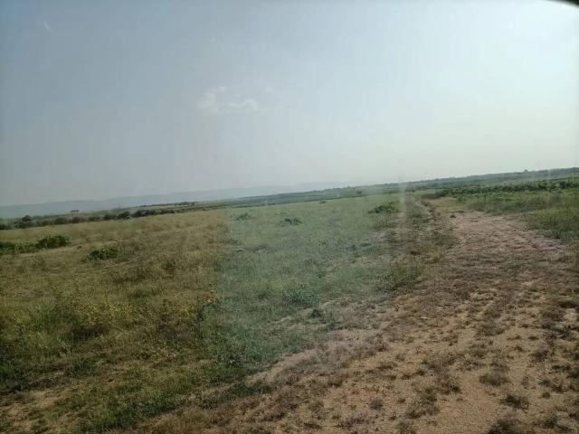 Terreno en venta en Villaminaya, Castilla-La Mancha