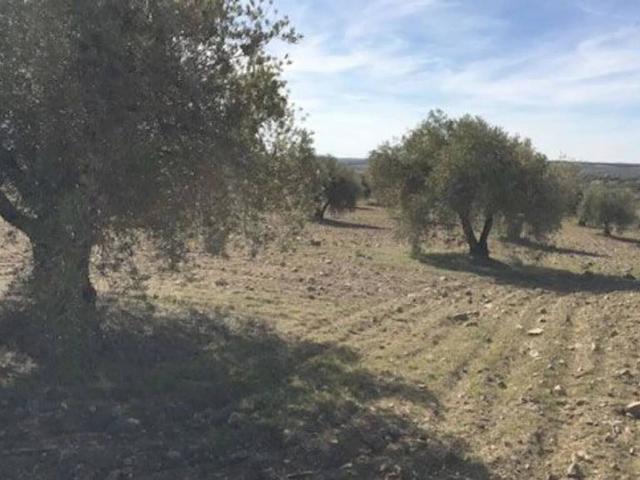 Terreno en venta en Villamuelas