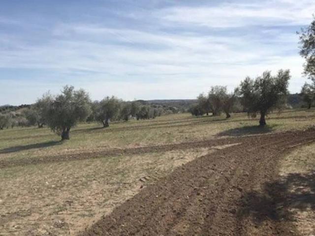 Terreno en venta en Villamuelas