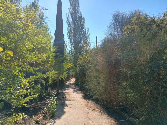Terreno en venta en Villamuriel De Cerrato, Castilla y León
