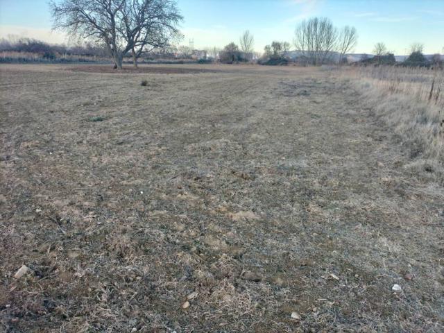 Terreno en venta en Villamuriel De Cerrato, Castilla y León