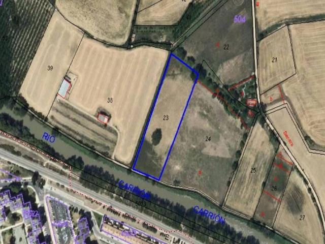 Terreno en venta en Villamuriel De Cerrato, Castilla y León