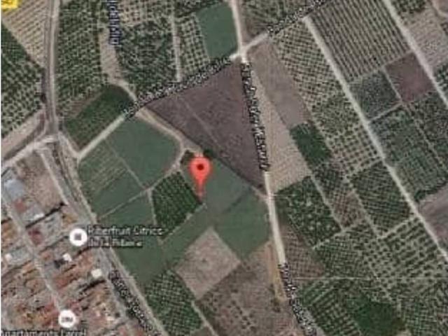 Terreno en venta en la Ribera Alta, Valencia