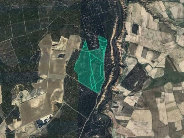 Terreno en venta en Villanueva De Gómez, Castilla y León