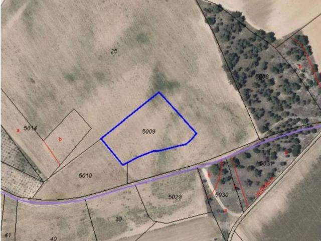Terreno en venta en San Pascual, Castilla y León