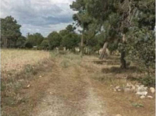 Terreno en venta en Villanueva De Gómez, Castilla y León