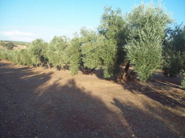 Terreno en venta en Guarromán, Andalucía