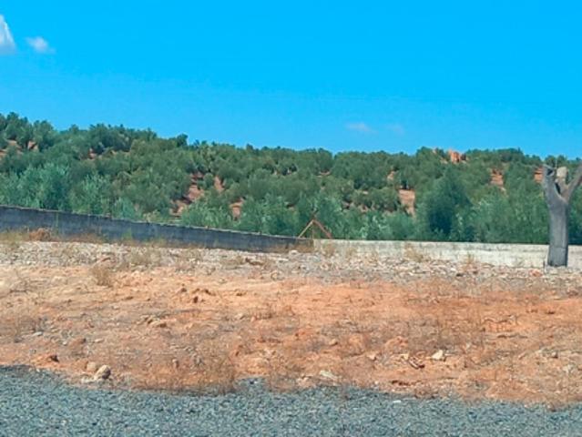 Terreno en venta en Villanueva De La Reina, Andalucía
