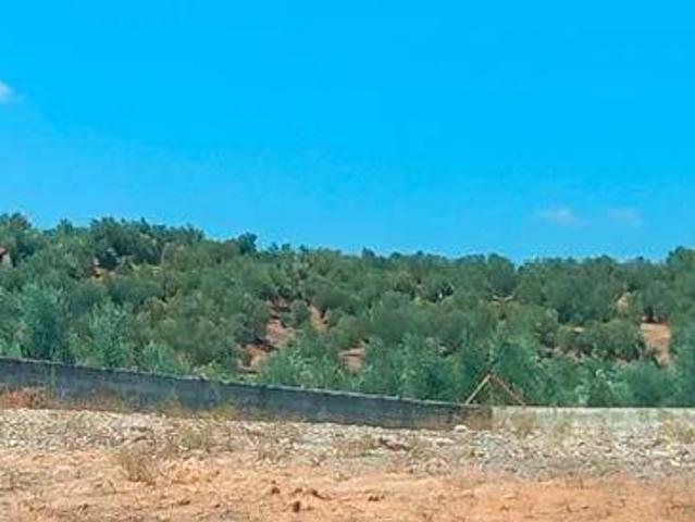 Terreno en venta en Villanueva De La Reina, Andalucía