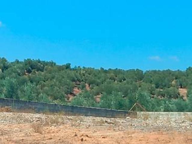 Terreno en venta en Villanueva De La Reina, Andalucía