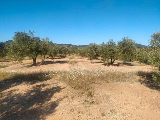 Terreno en venta en Guarromán, Andalucía
