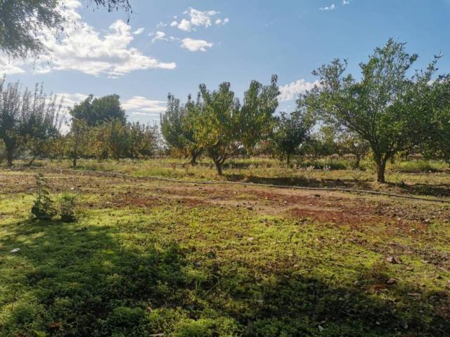 Terreno en venta en Villanueva De La Serena, Badajoz