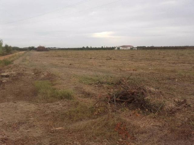 Terreno en venta en Villanueva De La Serena, Extremadura