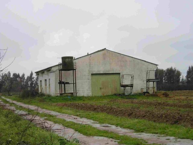 Terreno en venta en Villanueva De La Serena