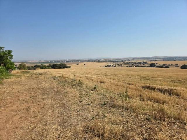 Terreno en venta en Villanueva De La Serena, Extremadura
