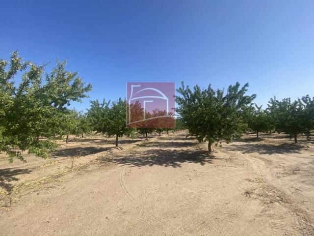 Terreno en venta en Villanueva De La Serena, Badajoz