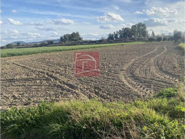 Terreno en venta en Villanueva De La Serena, Badajoz