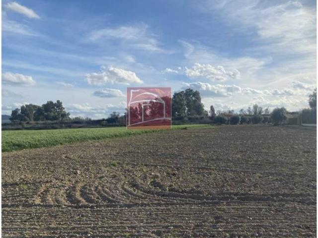 Terreno en venta en Villanueva De La Serena, Extremadura