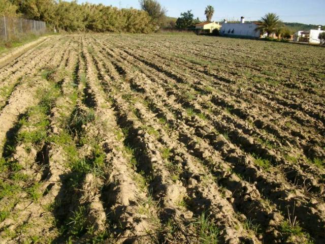 Terreno en venta en Villanueva De La Serena, Badajoz