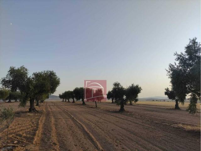 Terreno en venta en Villanueva De La Serena, Badajoz