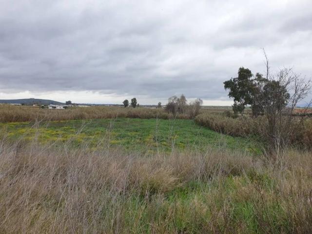 Terreno en venta en Villanueva De La Serena, Extremadura