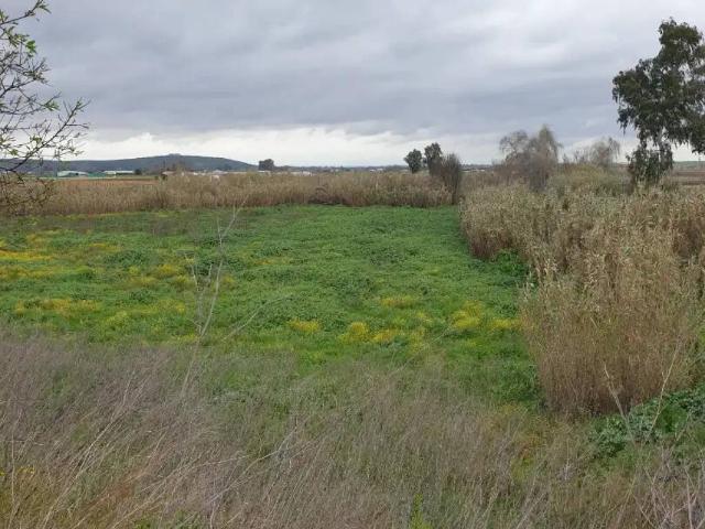 Terreno en venta en Villanueva De La Serena, Extremadura