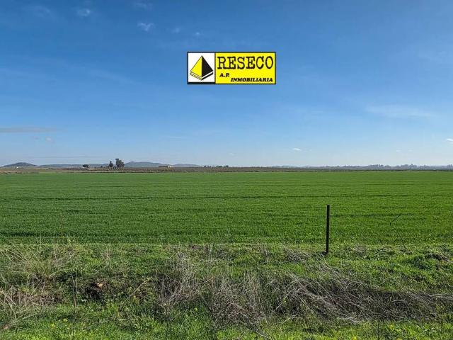 Terreno en venta en Villanueva De La Serena, Extremadura