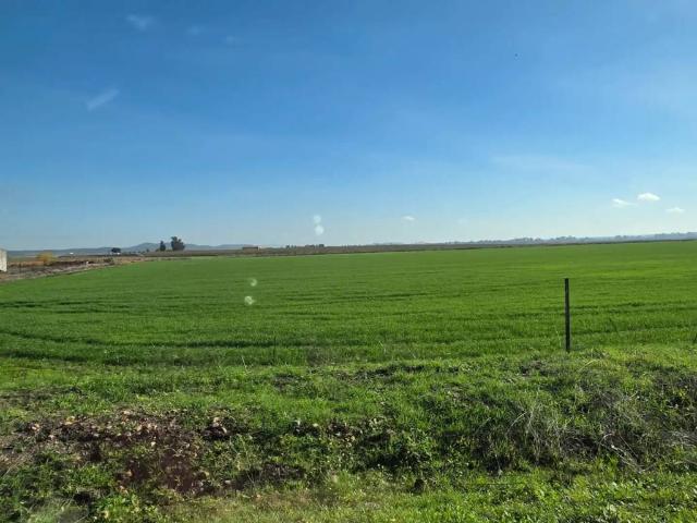 Terreno en venta en Villanueva De La Serena, Extremadura
