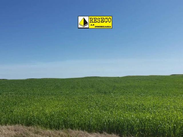 Terreno en venta en Villanueva De La Serena, Extremadura