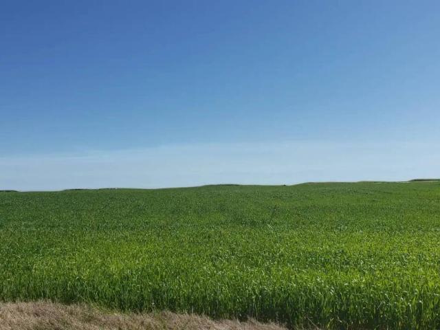 Terreno en venta en Villanueva De La Serena, Extremadura