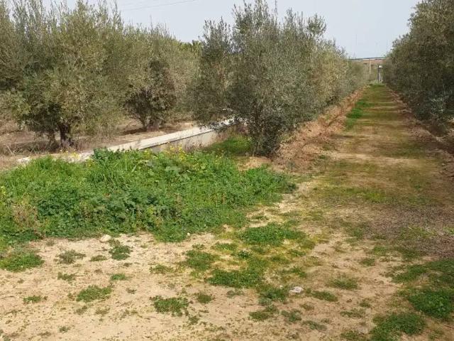 Terreno en venta en Villanueva De La Serena, Extremadura