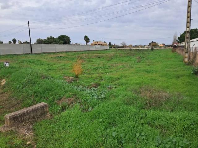 Terreno en venta en Villanueva De La Serena, Extremadura