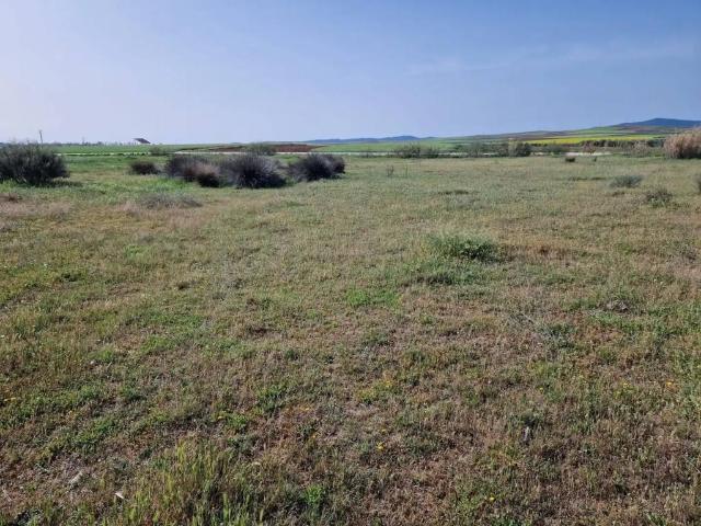 Terreno en venta en Villanueva De La Serena, Extremadura