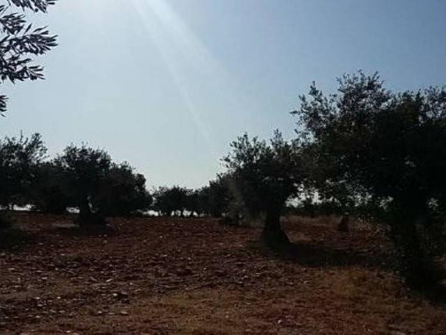 Terreno en venta en Villanueva De La Torre, Castilla-La Mancha