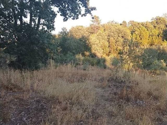 Terreno en venta en Villanueva de la Vera, Cáceres