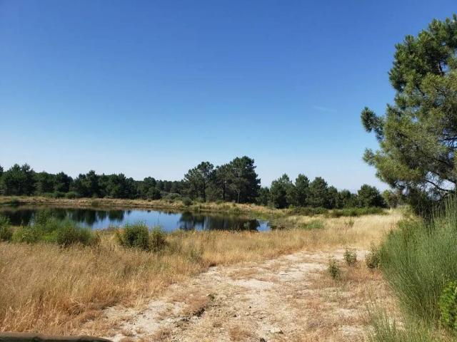 Terreno en venta en Villanueva De La Vera, Extremadura