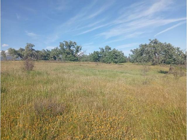 Terreno en venta en Villanueva De La Vera, Extremadura