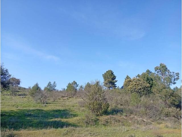 Terreno en venta en Villanueva De La Vera, Extremadura