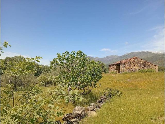 Terreno en venta en Villanueva De La Vera, Extremadura