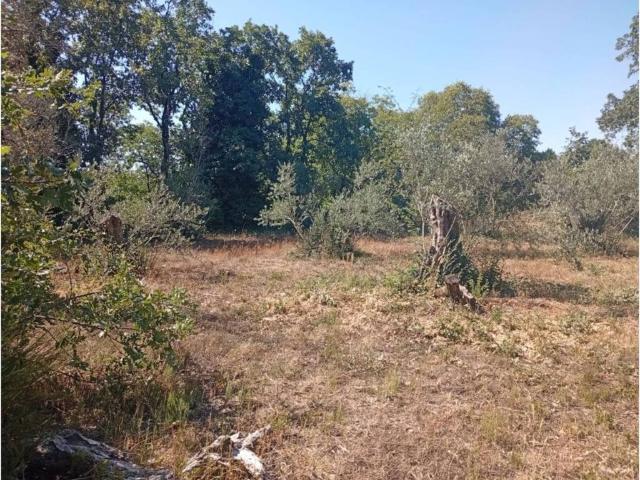 Terreno en venta en Villanueva De La Vera, Extremadura