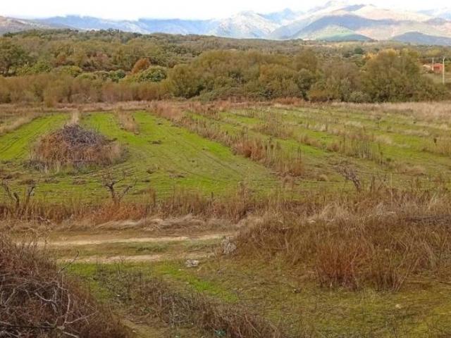 Terreno en venta en Villanueva De La Vera, Extremadura