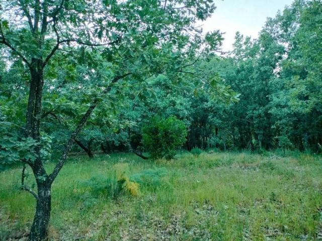 Terreno en venta en Villanueva De La Vera, Extremadura
