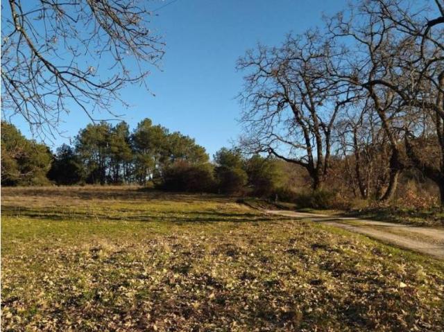 Terreno en venta en Villanueva De La Vera, Extremadura
