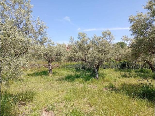 Terreno en venta en Villanueva De La Vera, Extremadura