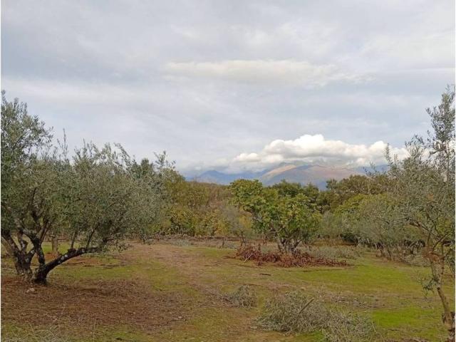 Terreno en venta en Villanueva De La Vera, Extremadura