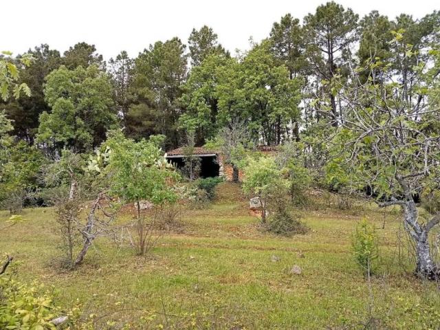 Terreno en venta en Villanueva De La Vera, Extremadura