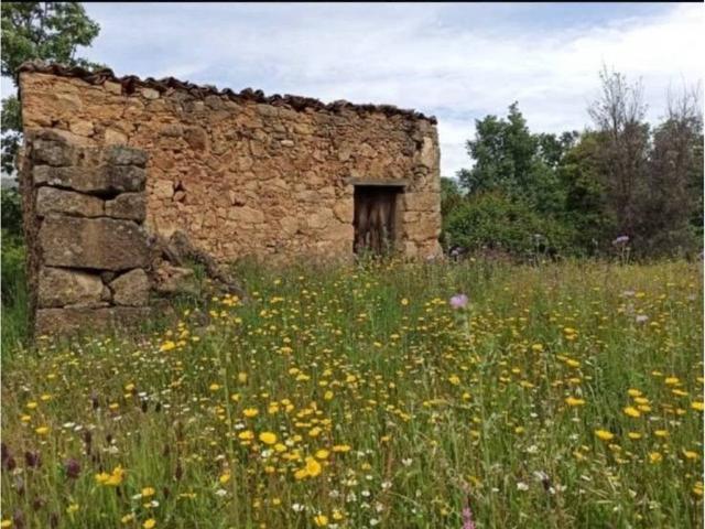 Terreno en venta en Villanueva De La Vera, Extremadura