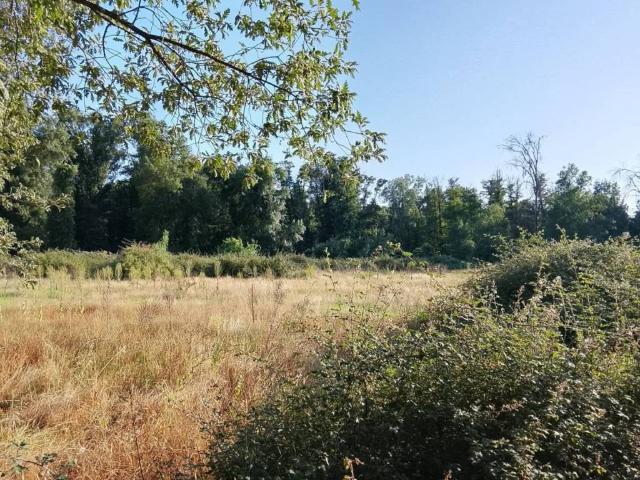 Terreno en venta en Villanueva De La Vera, Extremadura