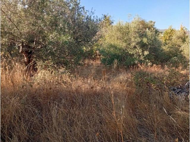 Terreno en venta en Villanueva De La Vera, Extremadura