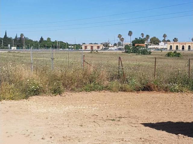 Terreno en venta en Villanueva Del Ariscal, Andalucía